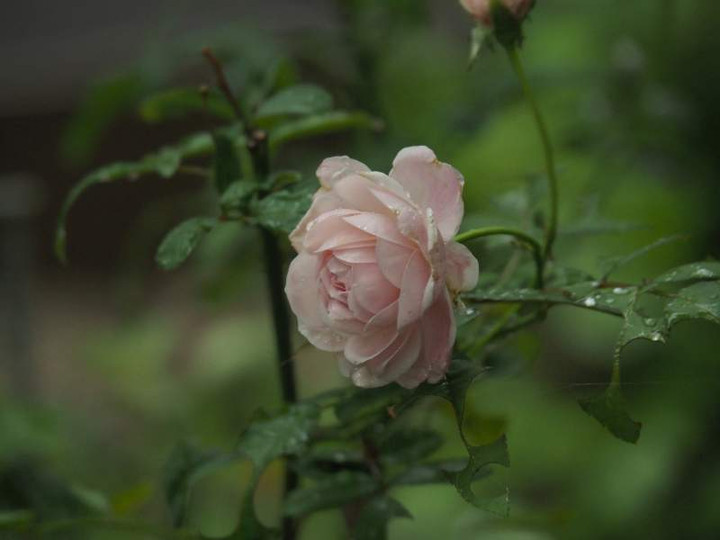 P9291747