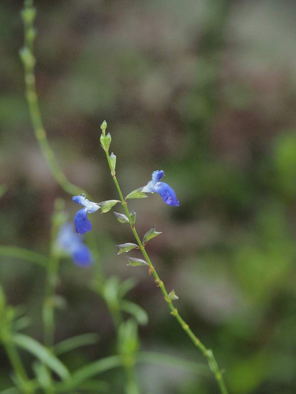P9291762