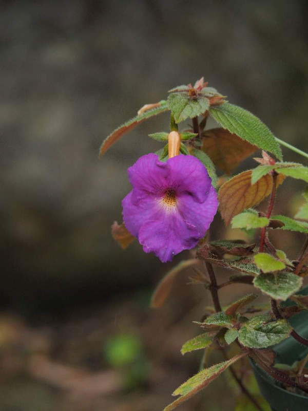 P9291771