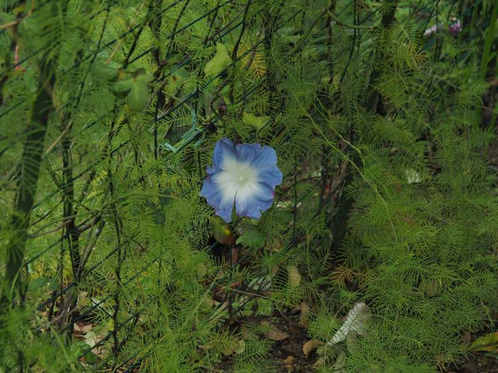 P9301783