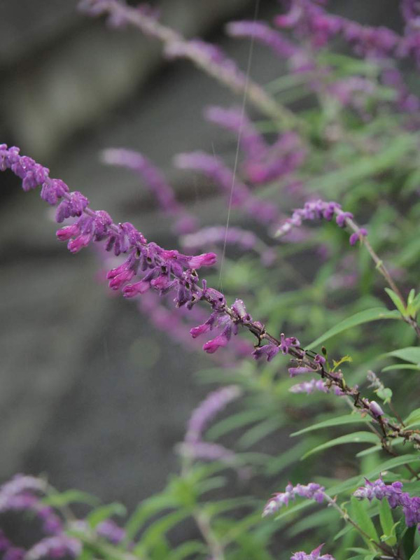 P9301784