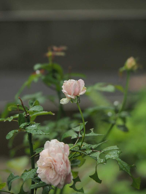 P9301790