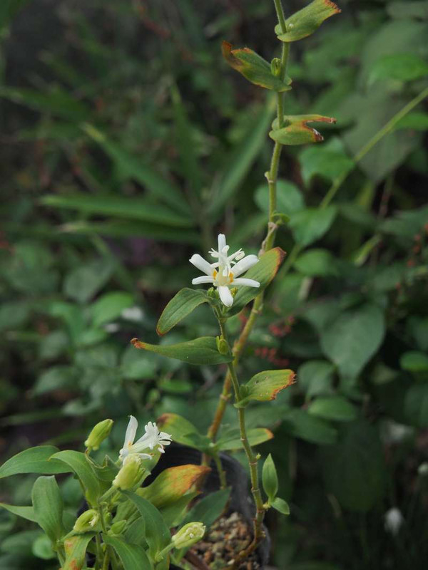 Pa092663