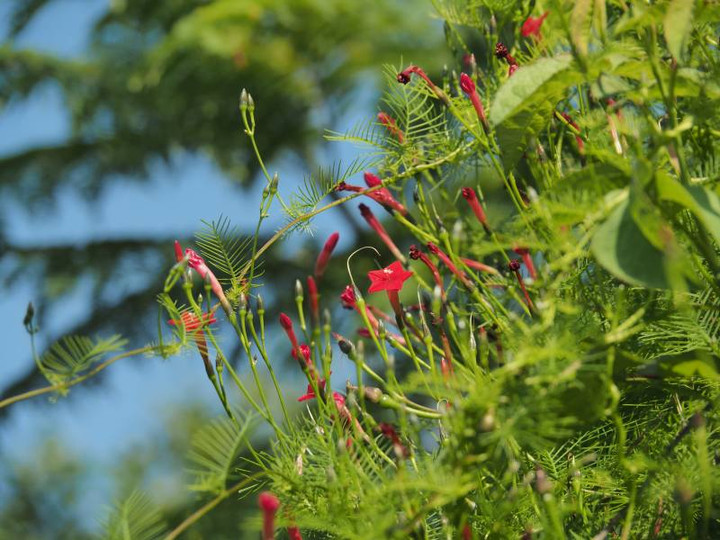 Pa143231