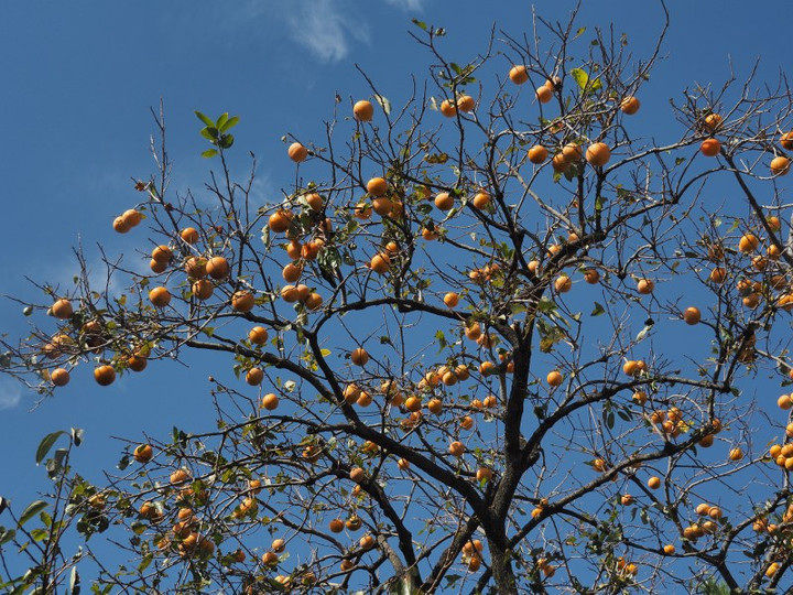 Pb023711