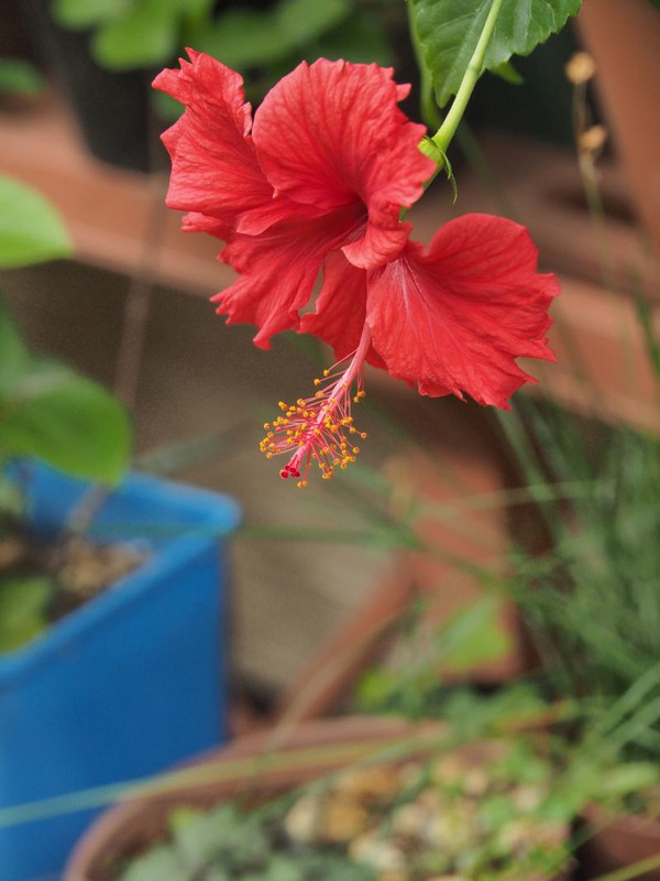 Pb044075