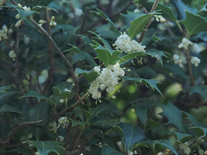 Pb094194