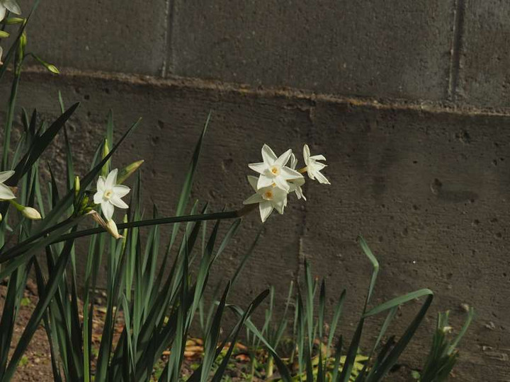 Pc010118