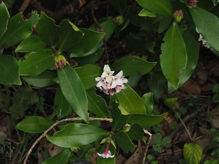 Pc040137