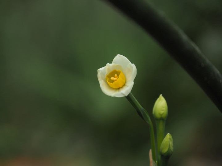 Pc050171