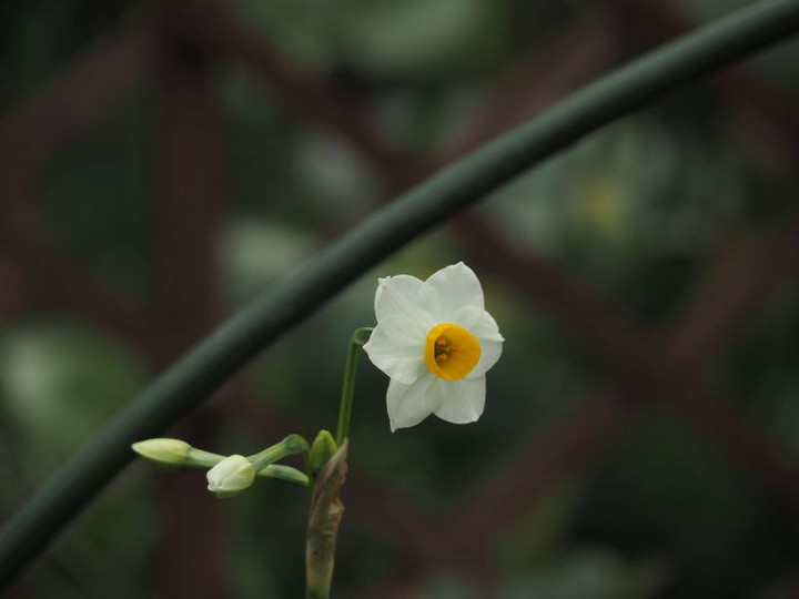 Pc070201