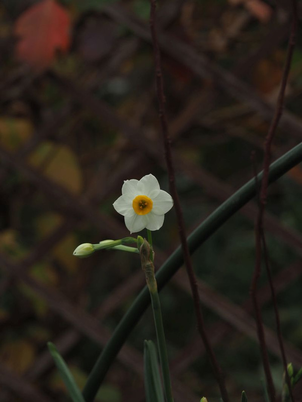 Pc070202