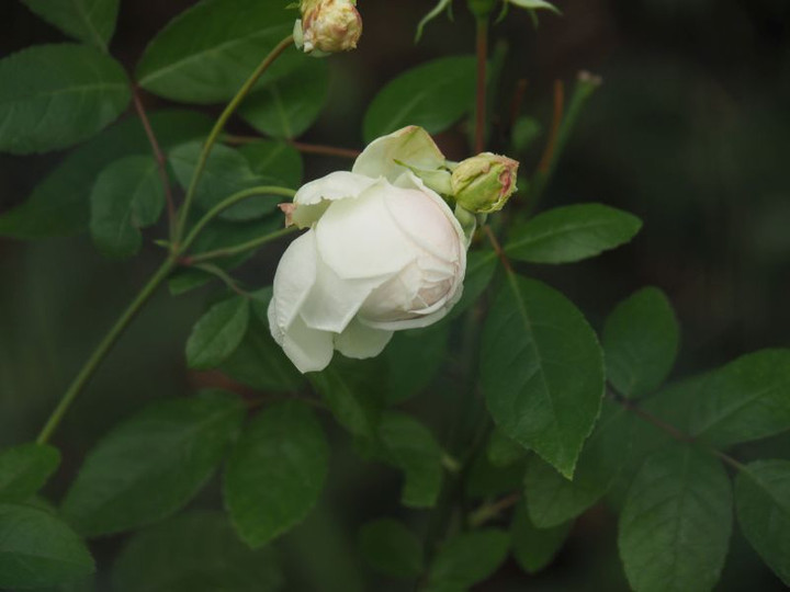 Pc070205