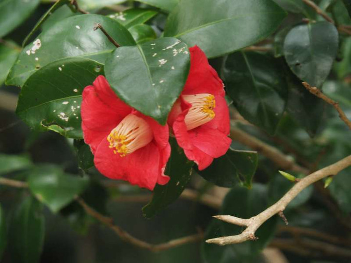 Pc090379