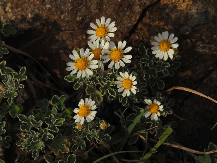 Pc090415