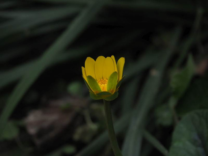 P1010748