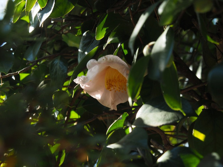 P1040762
