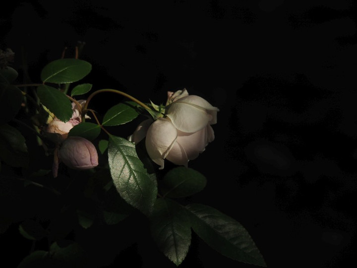 P1040767