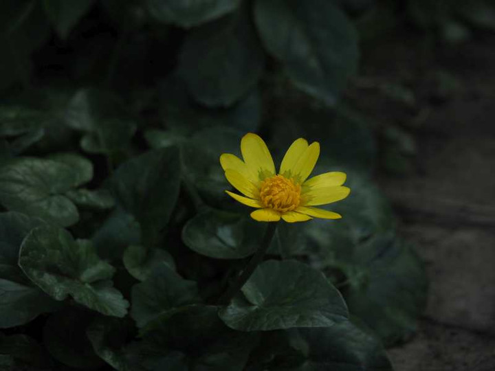 P1080798