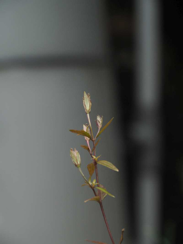 P1100814