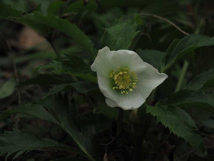 P1100817