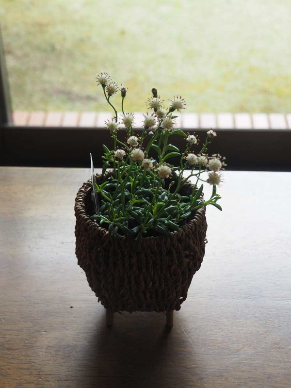 P1110838