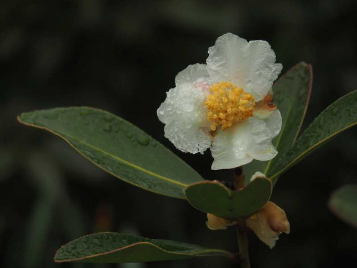 P1120846
