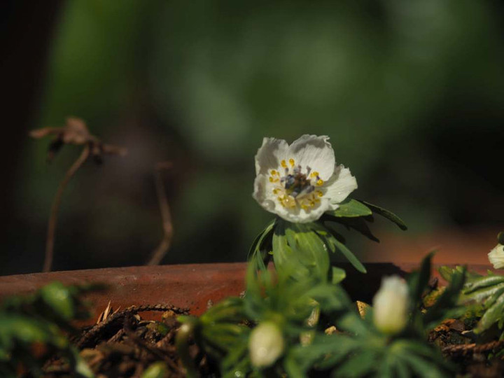 P1181048