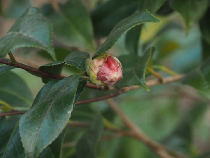 P1231184
