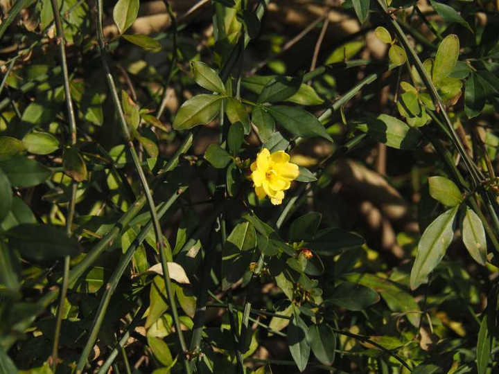 P1241222