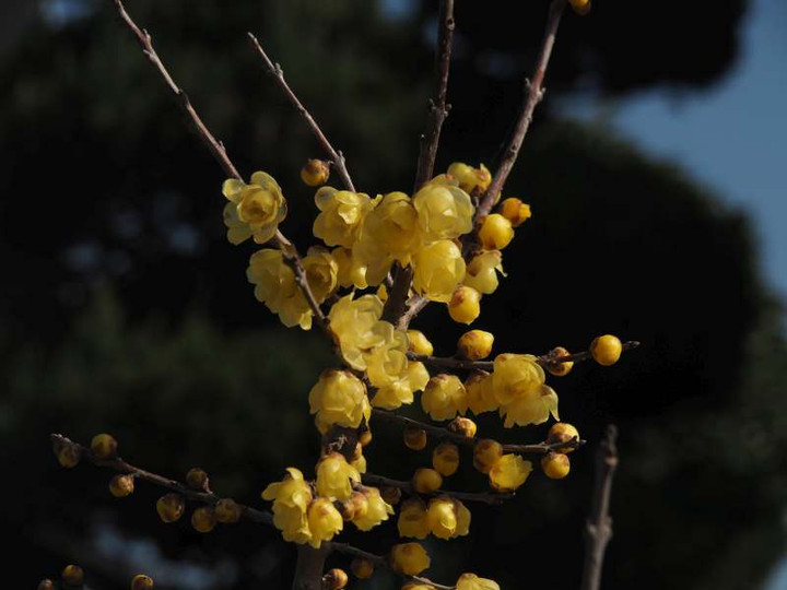 P1241226