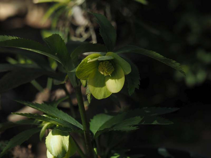 P1261301