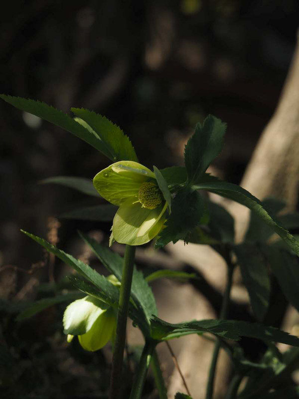 P1261302