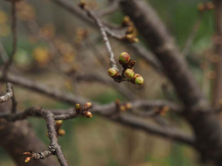 P1290011