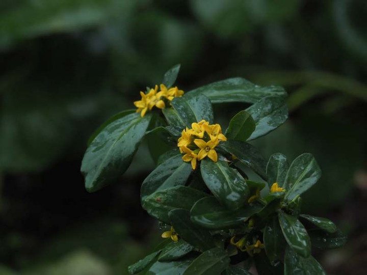 P1310044