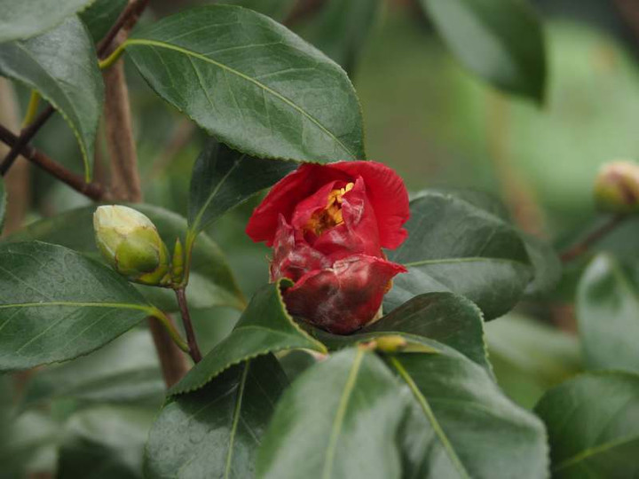 P2010047