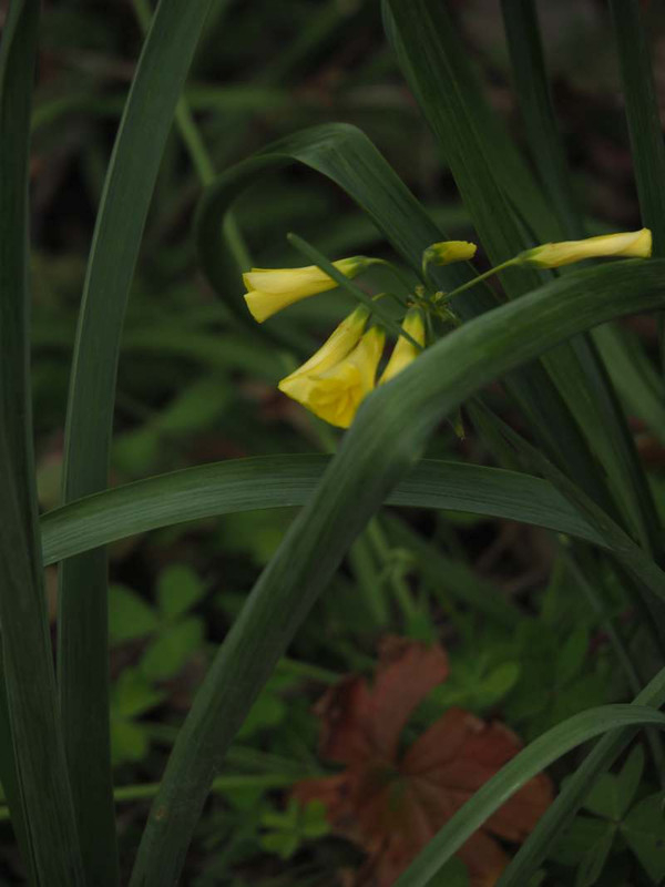 P2030054