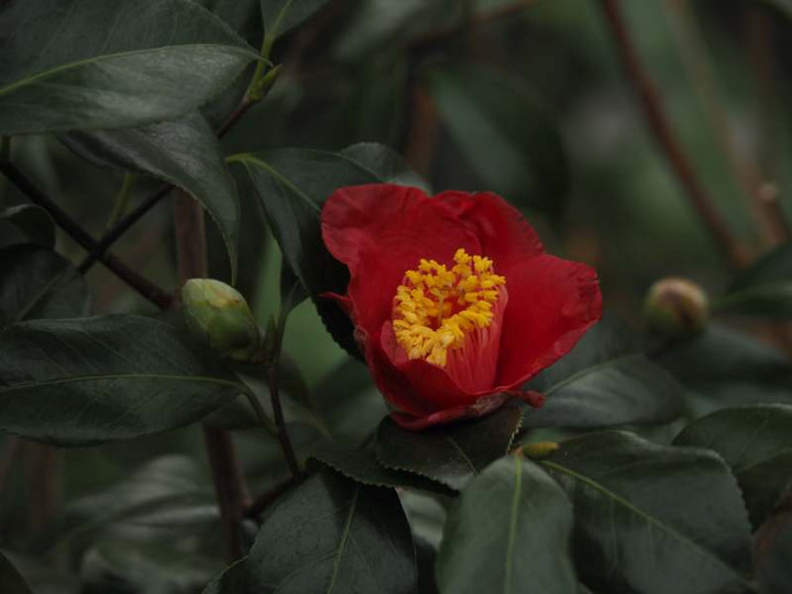 P2030055