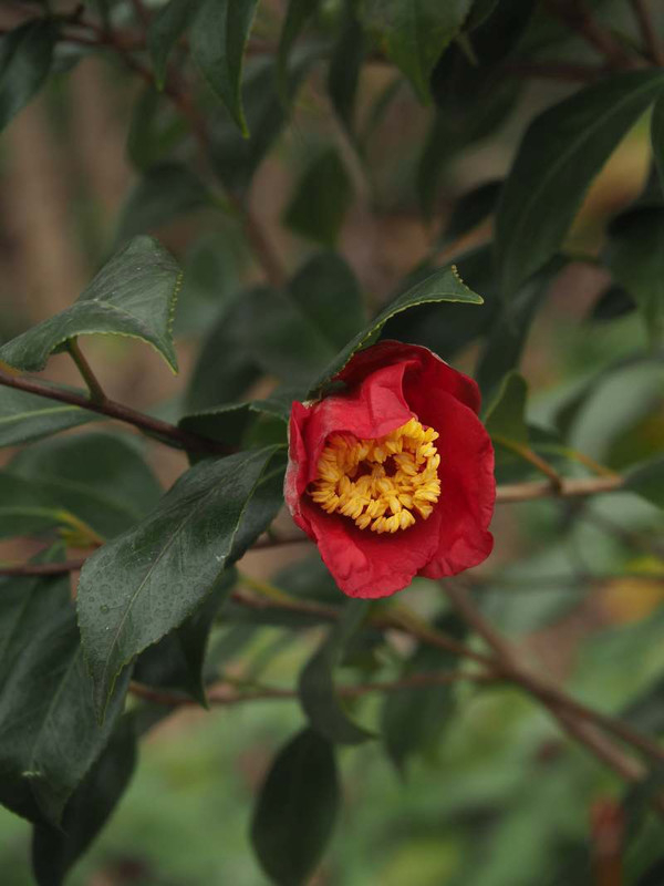 P2030056