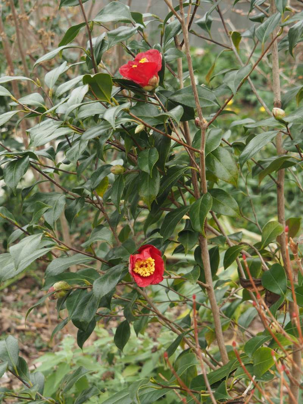 P2030057
