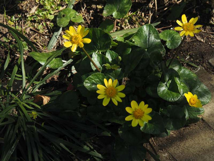 P2050085
