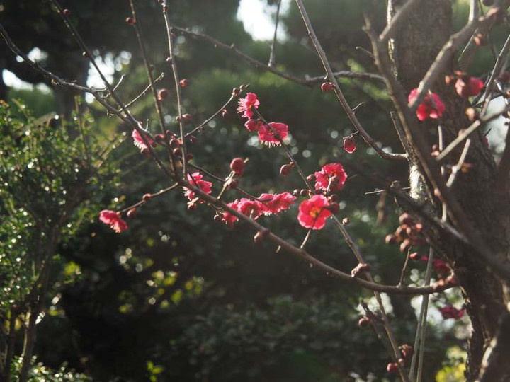 P2050098
