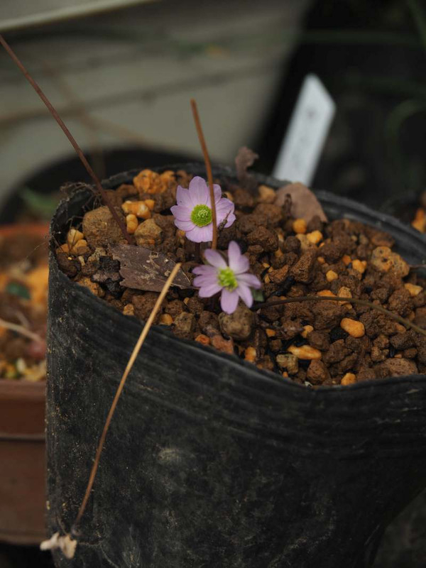P2070109