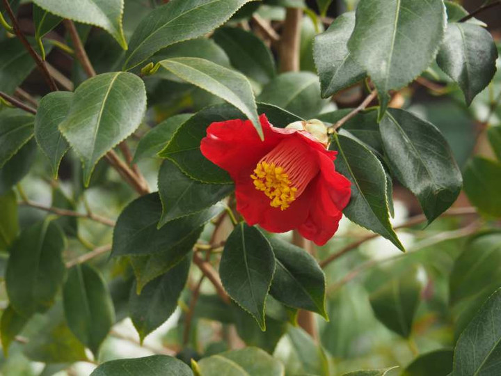 P2070111