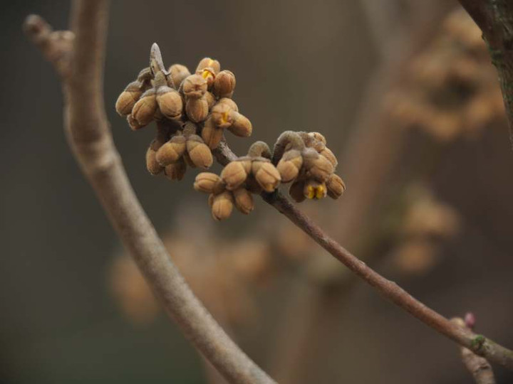 P2070115