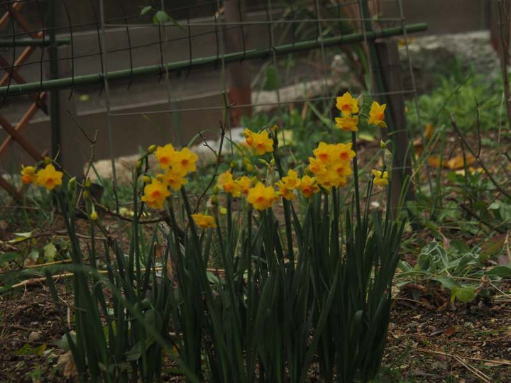 P2070118