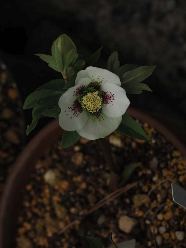 P2080119