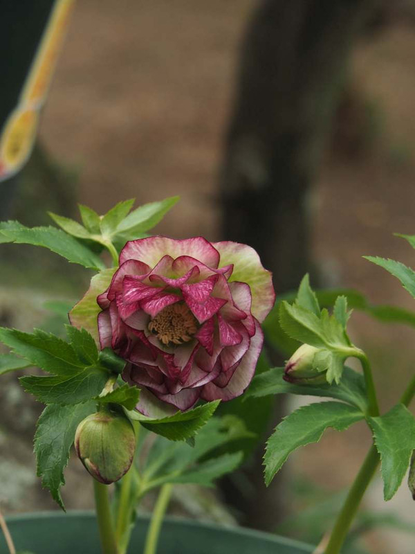 P2080121