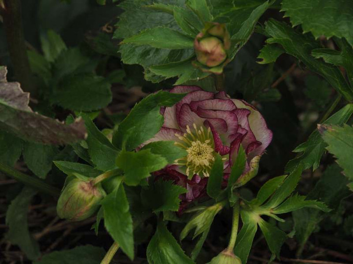 P2080124