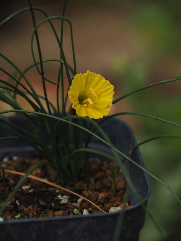 P2090128